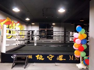 customized competittion boxing ring canvas cove...