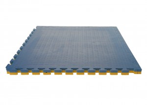 EVA MATS FOR the martial arts training with best price