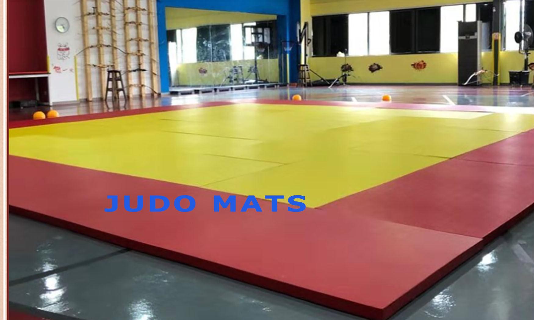 judo baner