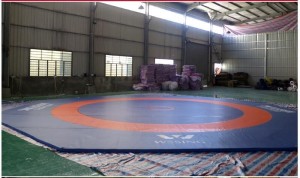 Professonal Wrestling mats Customized