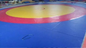 wrestling mats 12m*12m with good quality