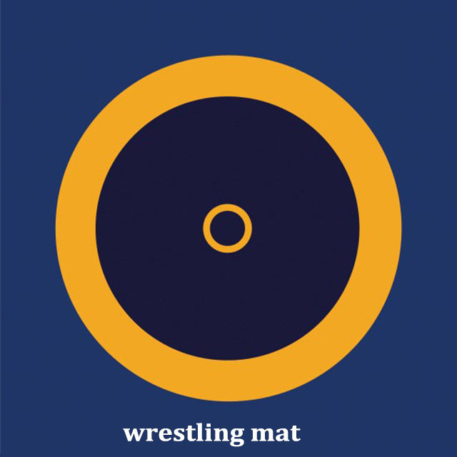 Discount Black Wrestling Mat Manufacturers –  custom 8m*8m*5cm 6cm XPE PE wrestling mat  – Jiechuang