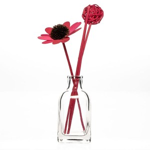 Reed Diffuser Bottle 100ml Glass Fragrance with Flowers