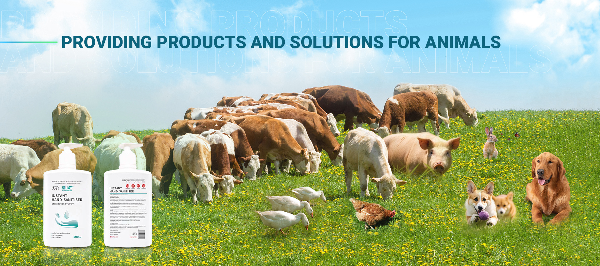 Providing products and solutions for animals