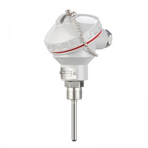 JET-200 Resistance Thermometer (RTD)