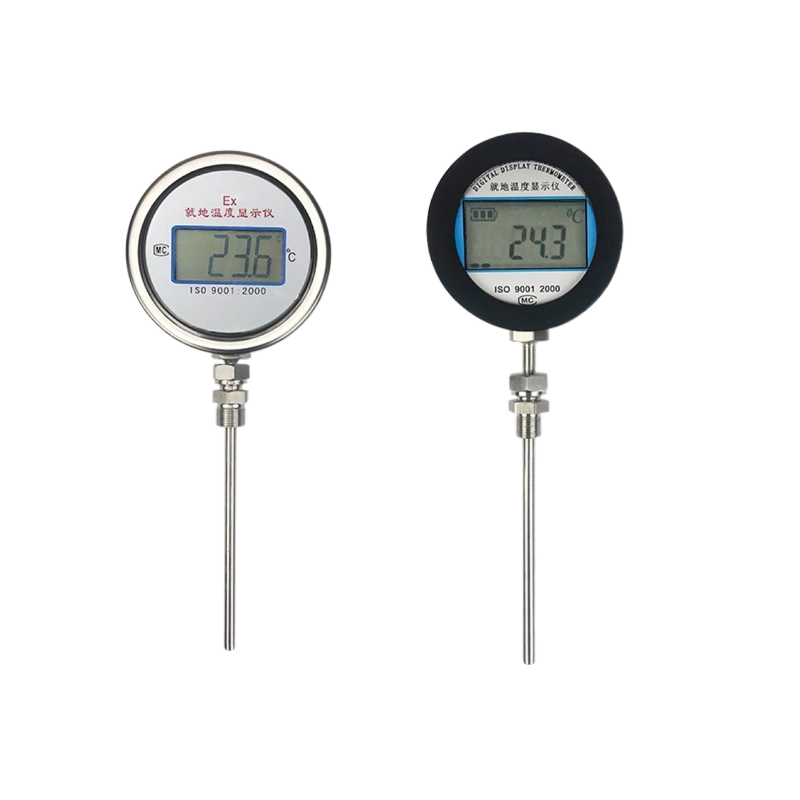 Digital Display Thermometer / Indicator