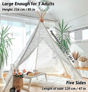 Large Princess Wedding Party Photo Prop Huge Luxury Lace Teepee Tent For Adult Women