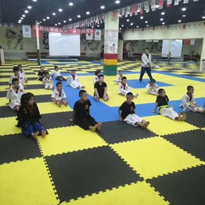 Taekwondo mat Gym Mat Playground Mat EVA Foam