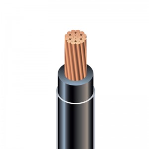 ASTM UL Thermoplastic High Heat Resistant Nylon Coated THHN THWN THWN-2 Wire