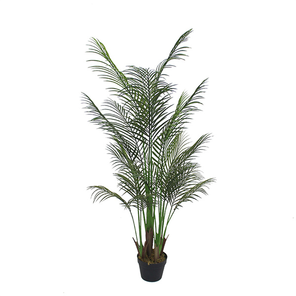 Well-designed Small Ornamental Evergreen Trees - Plastic areca palm artificial green plant for wholesale – JIAWEI