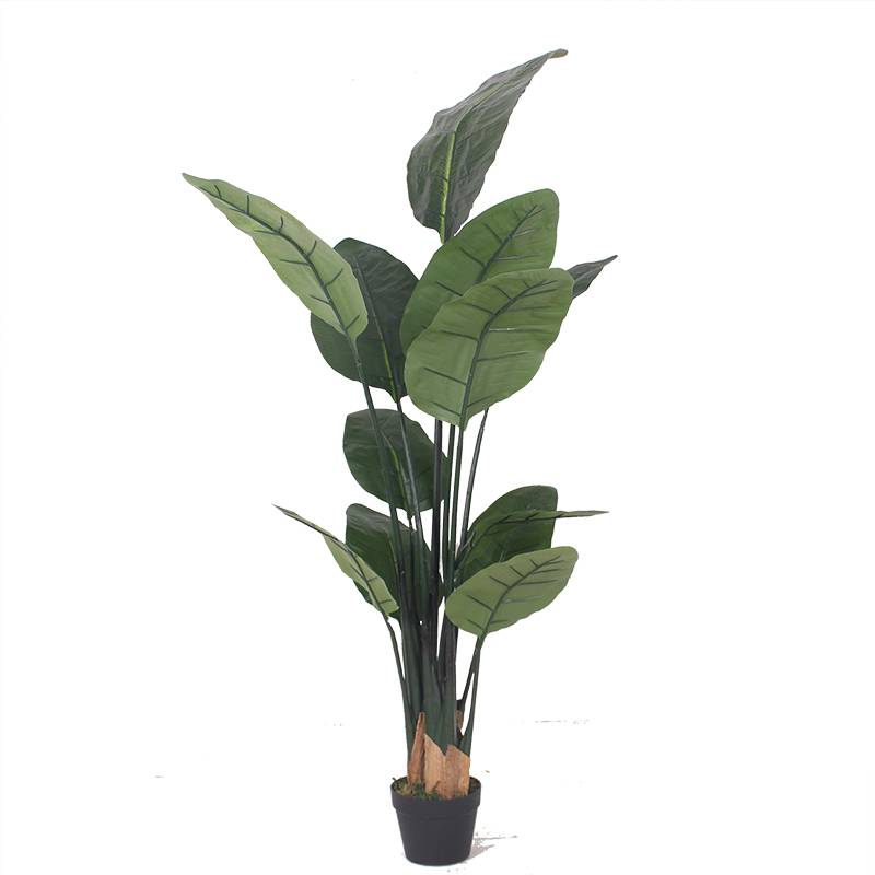 PriceList for Artificial Boxwood Hedge - Hot selling Artificial Plastic Birds of Paradise Plants – JIAWEI