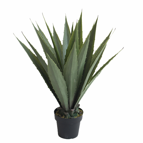 Best Price on Artificial Palm Plants - Factory artificial agave plant high quality – JIAWEI