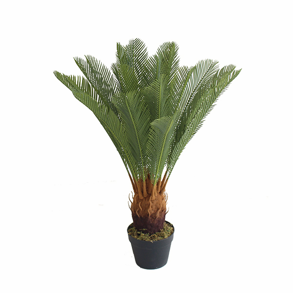 Top Suppliers Artificial Eucalyptus - Factory artificial cycas plant best selling – JIAWEI