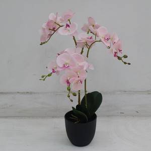 China wholesale Artificial Flower Bonsai - Factory wholesale artificial orchid plants and bonsai for store hotel decor faux orchid plants for home garden table decoration – JIAWEI