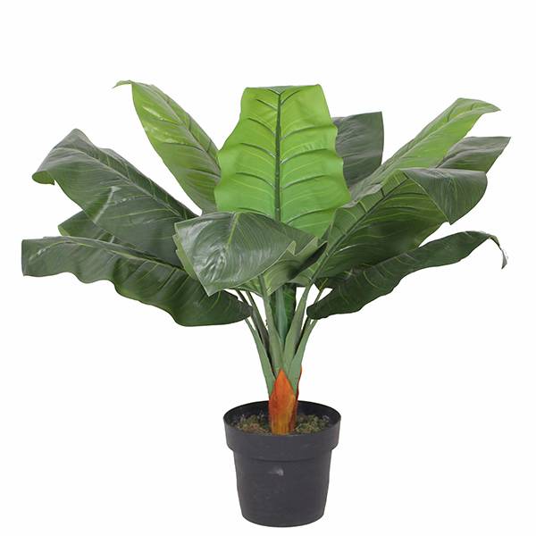 OEM manufacturer Artificial Palm Trees - New hot sale good quality plastic bonsai tree house decors  – JIAWEI