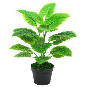 China wholesale Fake Bonsai Tree - 2020 Factory supermarket sells mini potted plants for indoor decoration – JIAWEI