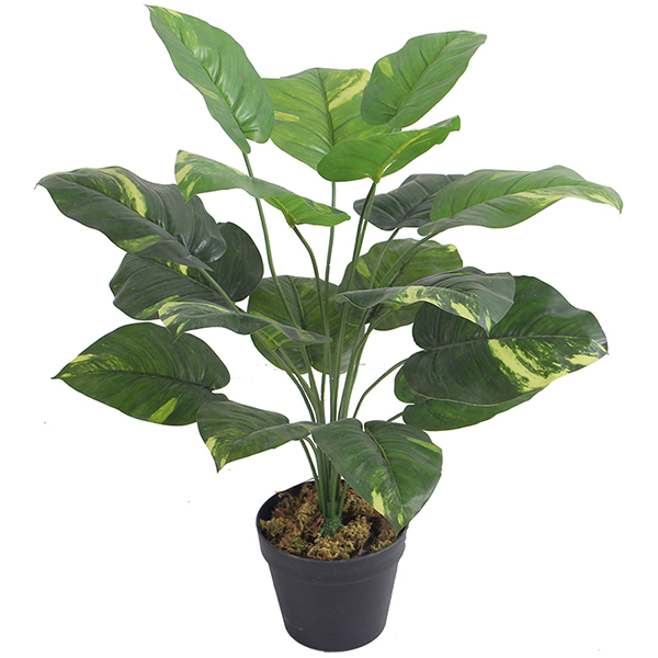 Factory Free sample Fake Plant Wall - small bonsai artificial taro plants hot selling – JIAWEI