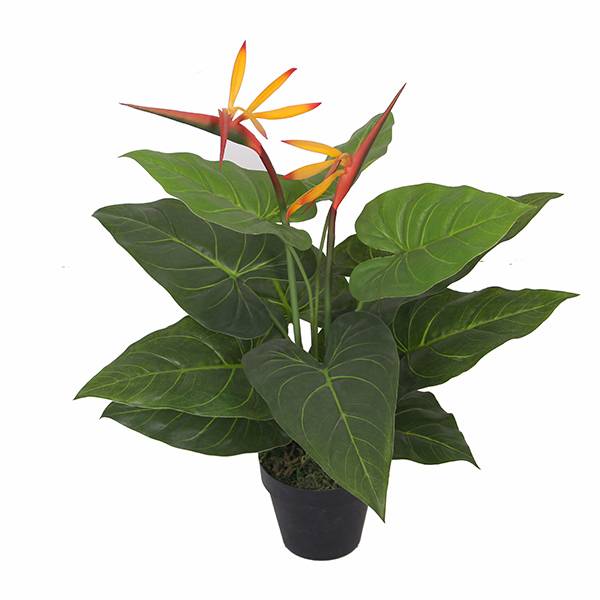 Good Quality Artificial Flower Tree - Factory supply home decorative mini bonsai artificial paradise bird flower – JIAWEI