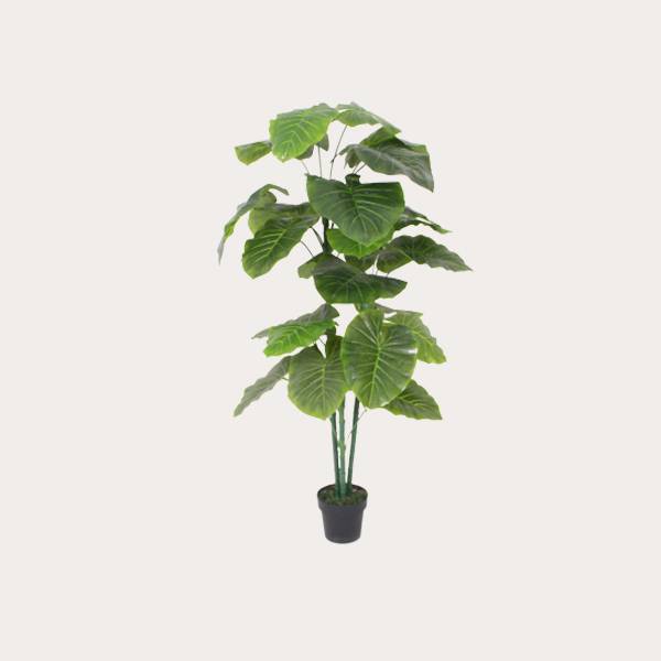 Wholesale Dealers of Artificial Bamboo Tree - Fashion design striking indoor home decorative artificial plant – JIAWEI