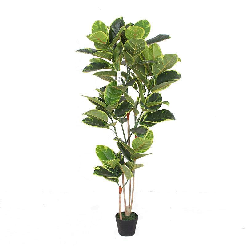 Wholesale Artificial Benjamin Tree -  New style artificial rubber tree   real touch leaves for decor  – JIAWEI