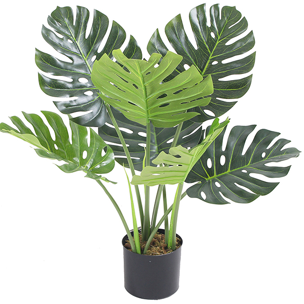 Chinese Professional Decorative Indoor Plants - artificial monstera plants new design hot selling – JIAWEI