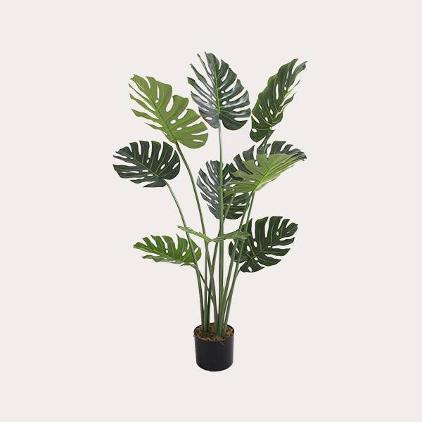 Factory Price Evergreen Garden Trees - Best Quality Real Touch Artificial Monsteras Leaves Plants Plastic Monstera plants Leaves for Decoration  – JIAWEI