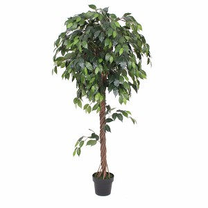 Reasonable price Artificial Schefflera Trees - Modern style excellent quality event use small artificial plants – JIAWEI