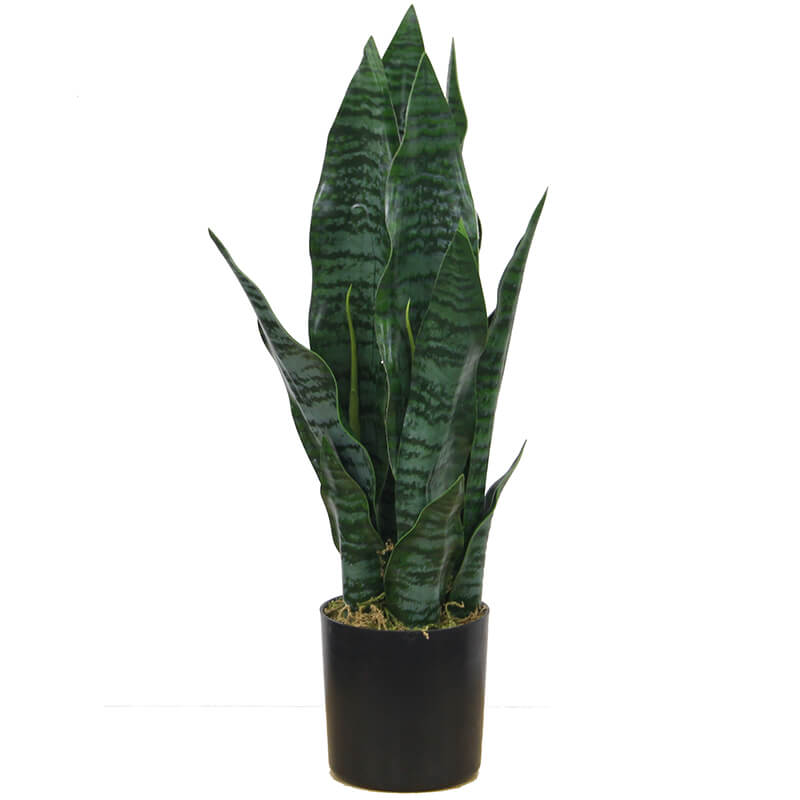2019 Latest Design Ficus Lyrata Artificial - hot sale artificial sansevieria plants faux snake plants bonsai for home garden office table decoration – JIAWEI
