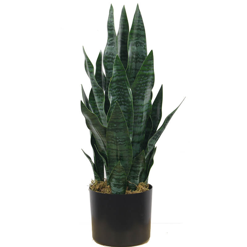 Manufacturer for Artificial Tree For Weddings - High quality artificial sansevieria plants plastic faux snake plants bonsai for home garden decoration – JIAWEI