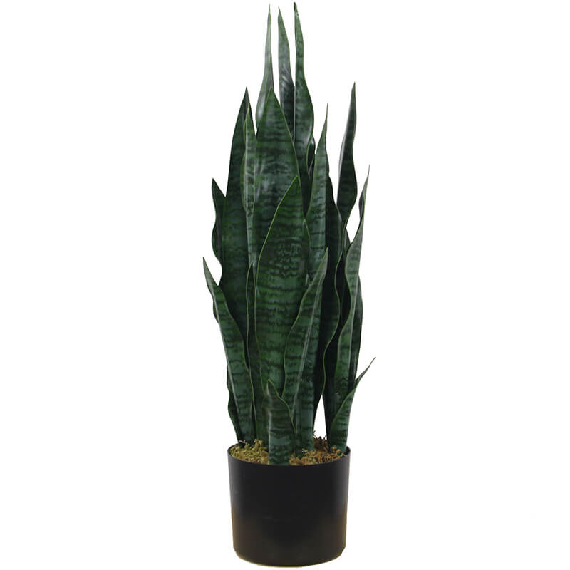Hot Selling for Artificial Cherry Trees - New design artificial sansevieria plants plastic faux snake plants bonsai for home garden decoration – JIAWEI