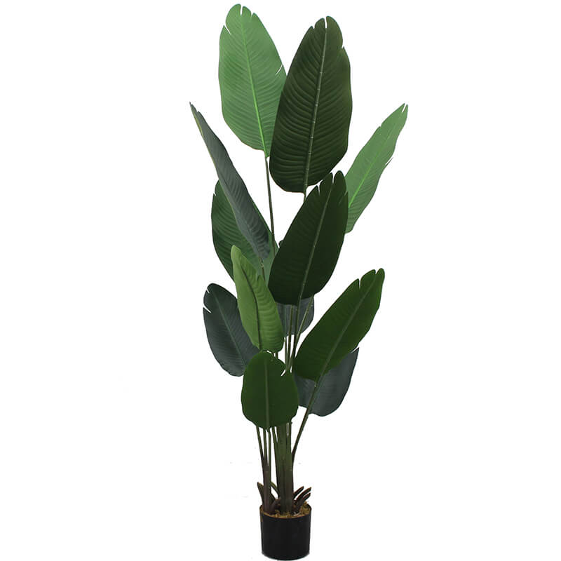 Bottom price Fake Cherry Blossom Tree - Hot sale artificial tree 180cm Traveller’s banana tree plastic palm tree for home decoration shopping mall supermarket sale – JIAWEI
