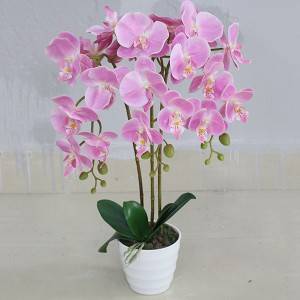 Yiwu factory decorative artificial orchid plant wholesale artificial plant