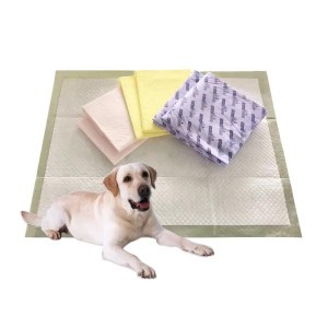 Amazon Custom Pet Cleaning Supplies Cuscinetti di addestramentu Pannolini per animali domestici usa e getta Pad Dog PEE