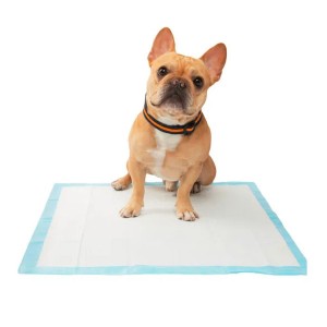 Amazon Custom Pet Cleaning Supplies Almofadas de treinamento Fraldas descartáveis ​​para animais de estimação Mad Dog PEE Pad