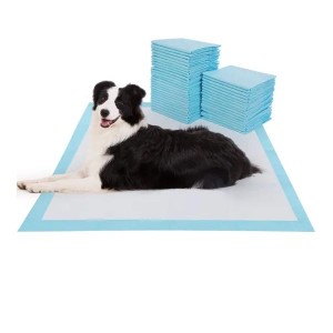 Pet Pad Super Absorbent Dog Cat Training Disposable Training ខោទឹកនោមកូនឆ្កែដែលមិនជ្រាបទឹកតាមតម្រូវការ លក់ដុំនៅអាមេរិក រុស្សី