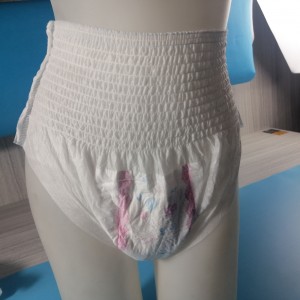 Ubos nga presyo Best Quality Disposable Hot Sale Menstrual Pants breathable healthy Sanitary Napkin panty type para sa mga babaye