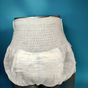 Incontinence Fixation Pants ODM OEM Thick Comfortable Panty Type အရွယ်ရောက်ပြီးသူများအတွက် Diaper