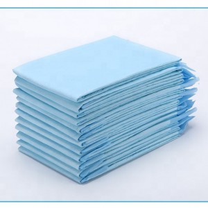 Wholesale Accessories 22*23 inches Dog Training Pad Heavy Duty Absorbency Basics Puppy Potty Pee Disposable Training Pads para sa mga Pets