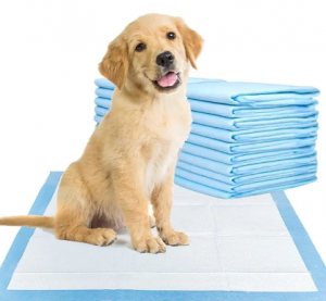 Wholesale factory price dog pee pad with super absorbency disposable puppy pad for dog training free sample pad