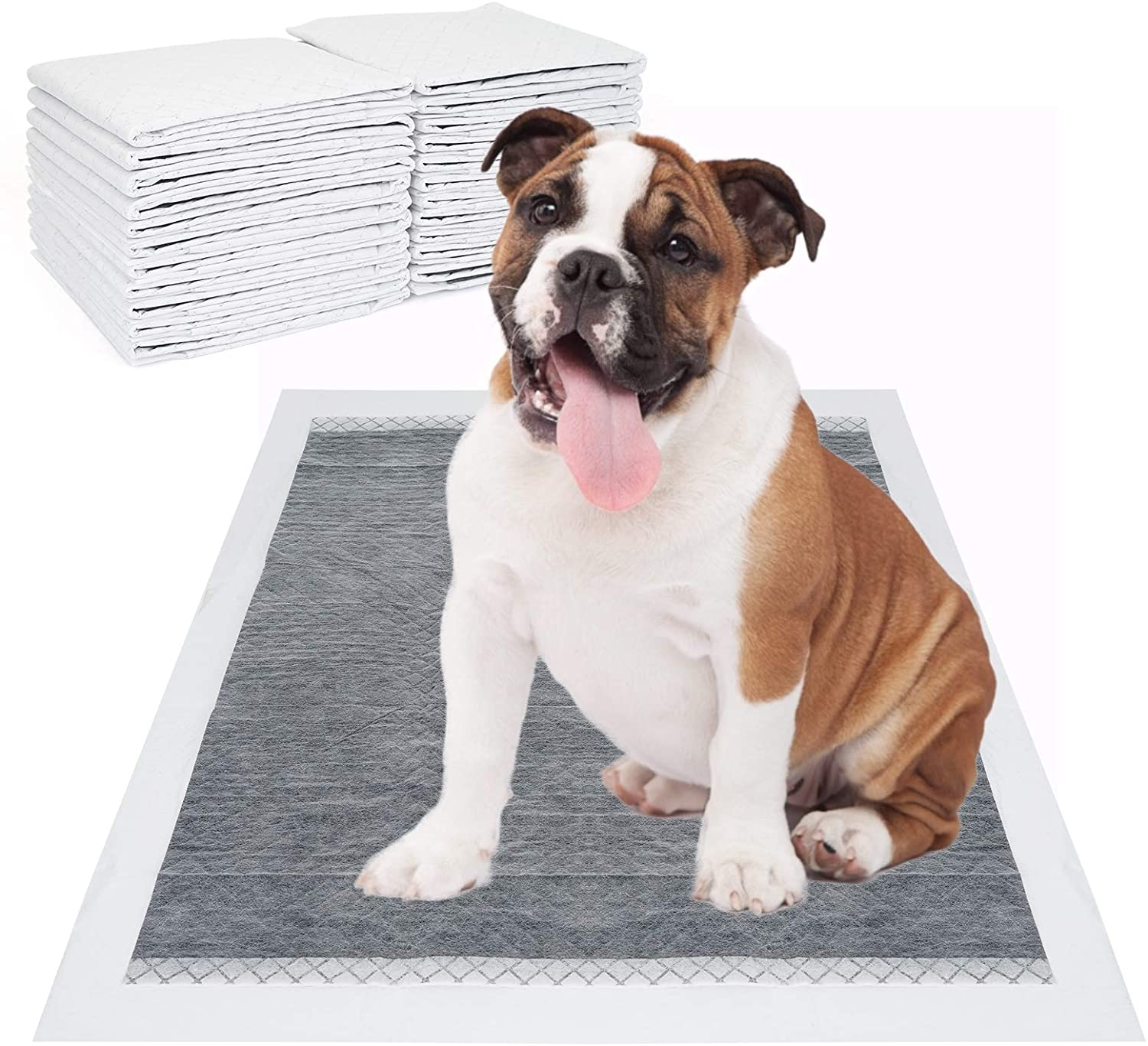 Pet Pads with Leak Protection: Highly Absorbent Puppy Pads for Training or Incontinence, by Pet Pads. Stay Dry & Comfortable with Extra-Large 22 x 23 inch Pads. Ideal for Small to Large Dogs.