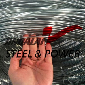 Stainless Steel Wire / SS Wire