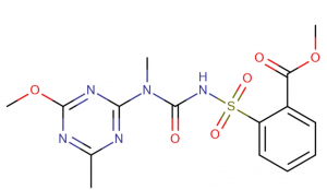 Tribenuron methyl