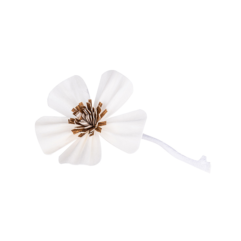 Handmade Fragrance Sola Flower For Reed Diffuser Featured Image