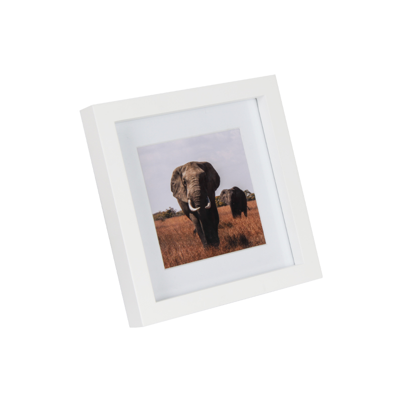 Shadow Box Memory Photo Frame Matted Featured Image