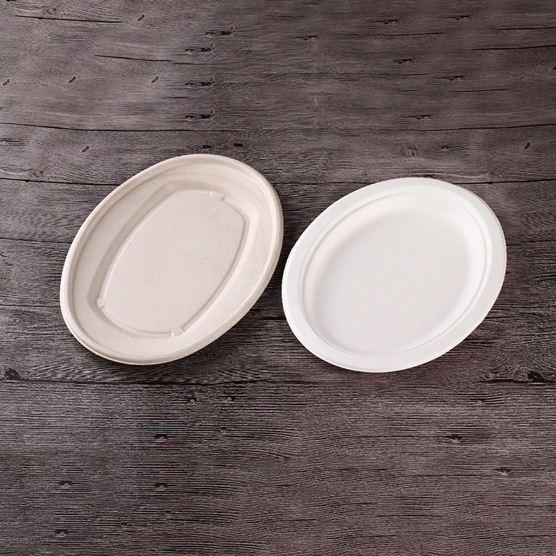 Oval 100% Compostable Disposable Paper Plate