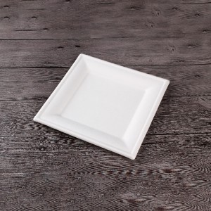 Square 100% Compostable Disposable Paper Plate