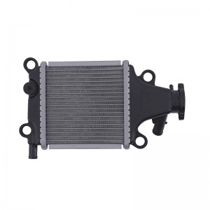 Manufactur standard aluminum radiator with fans - Motorcycle Water Cooler System Aluminum Radiator – JSMUFFLER