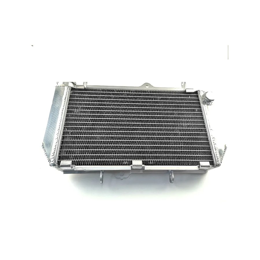 Top Class Motorcycle Spare Parts Heat Sink Modified Aluminum Alloy Radiator Featured Image
