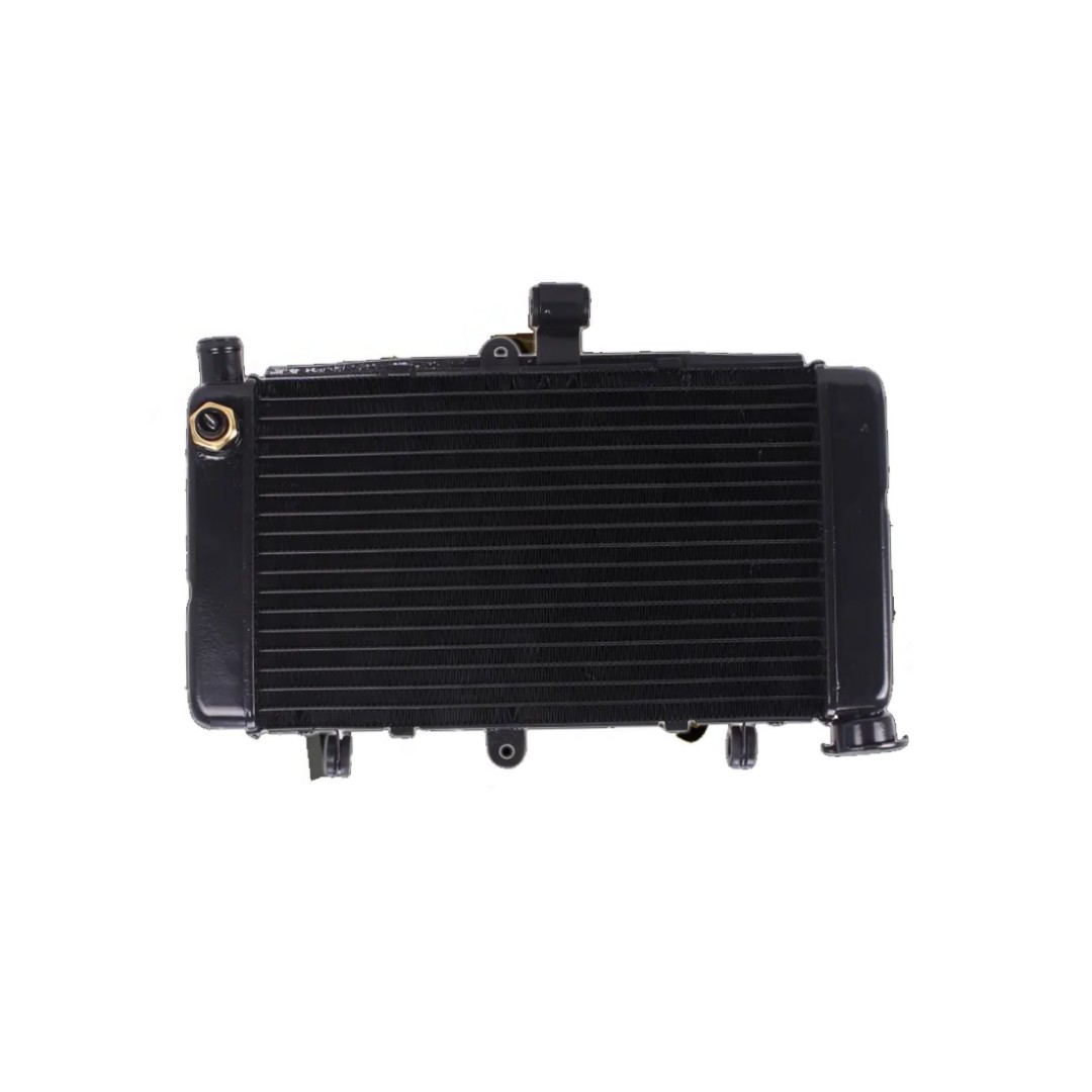 Motorcycle Parts Oil Cooler Auto Parts Motorcycle Engine Parts Oil Cooling