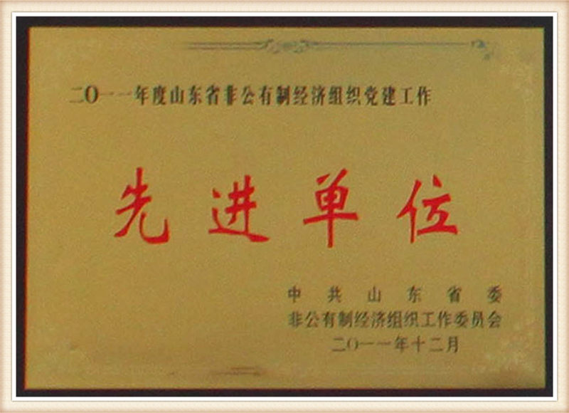 2011 Advanced Unit for Party Building in the Non-public Economic Organization of Shandong Province